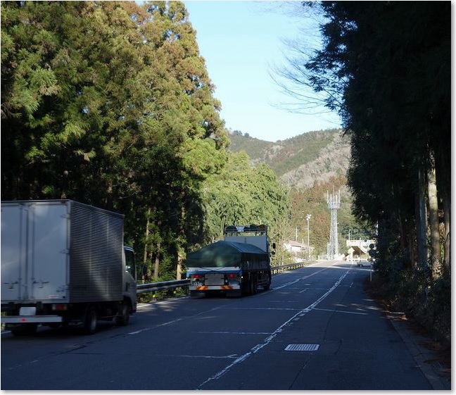 41向こうに文化とか