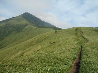 DSCN0995.jpg