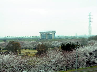 130324-07.jpg