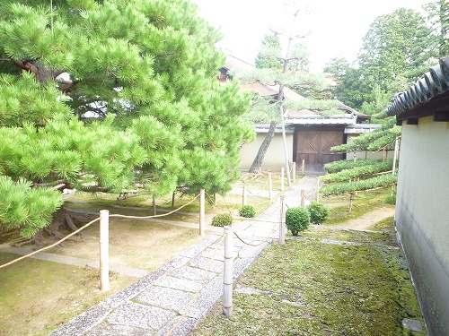 P1030373.jpg