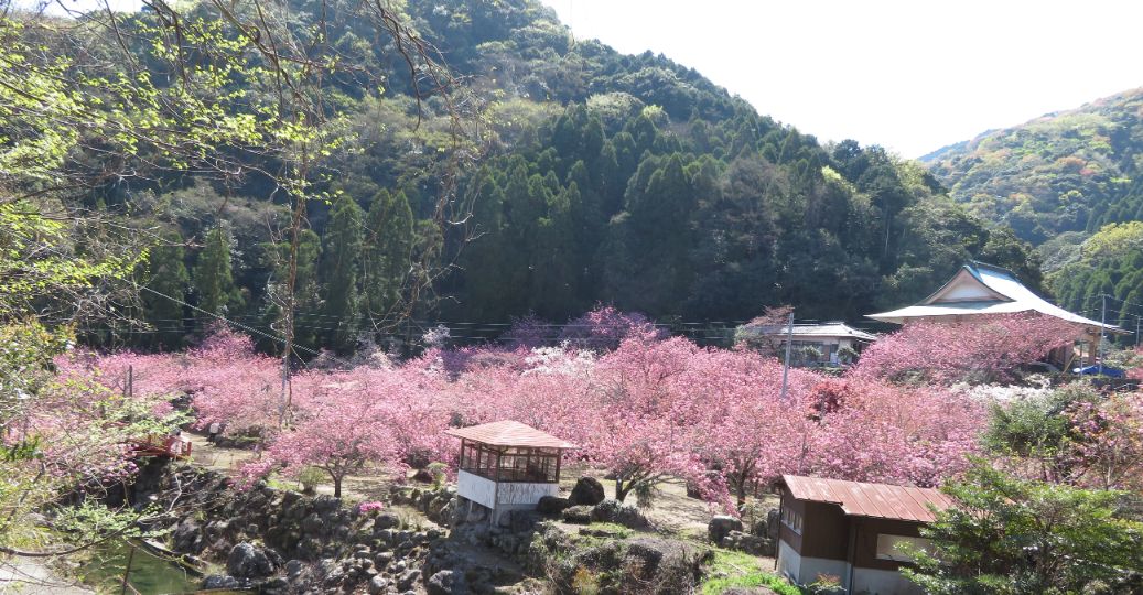 一心寺 (25).jpg