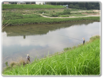 7348三篠川の鮎釣り_7348.jpg