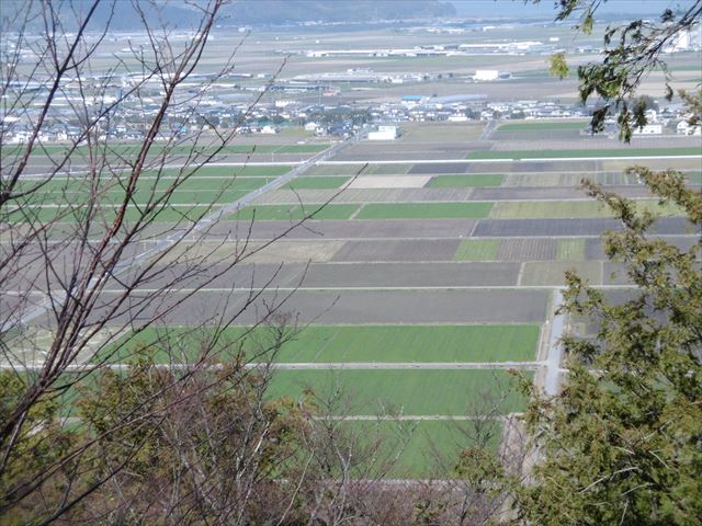P1010111_R.JPG