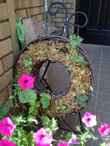 IMG_9296 (480x640).jpg