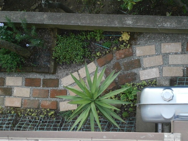 P5040957a.JPG