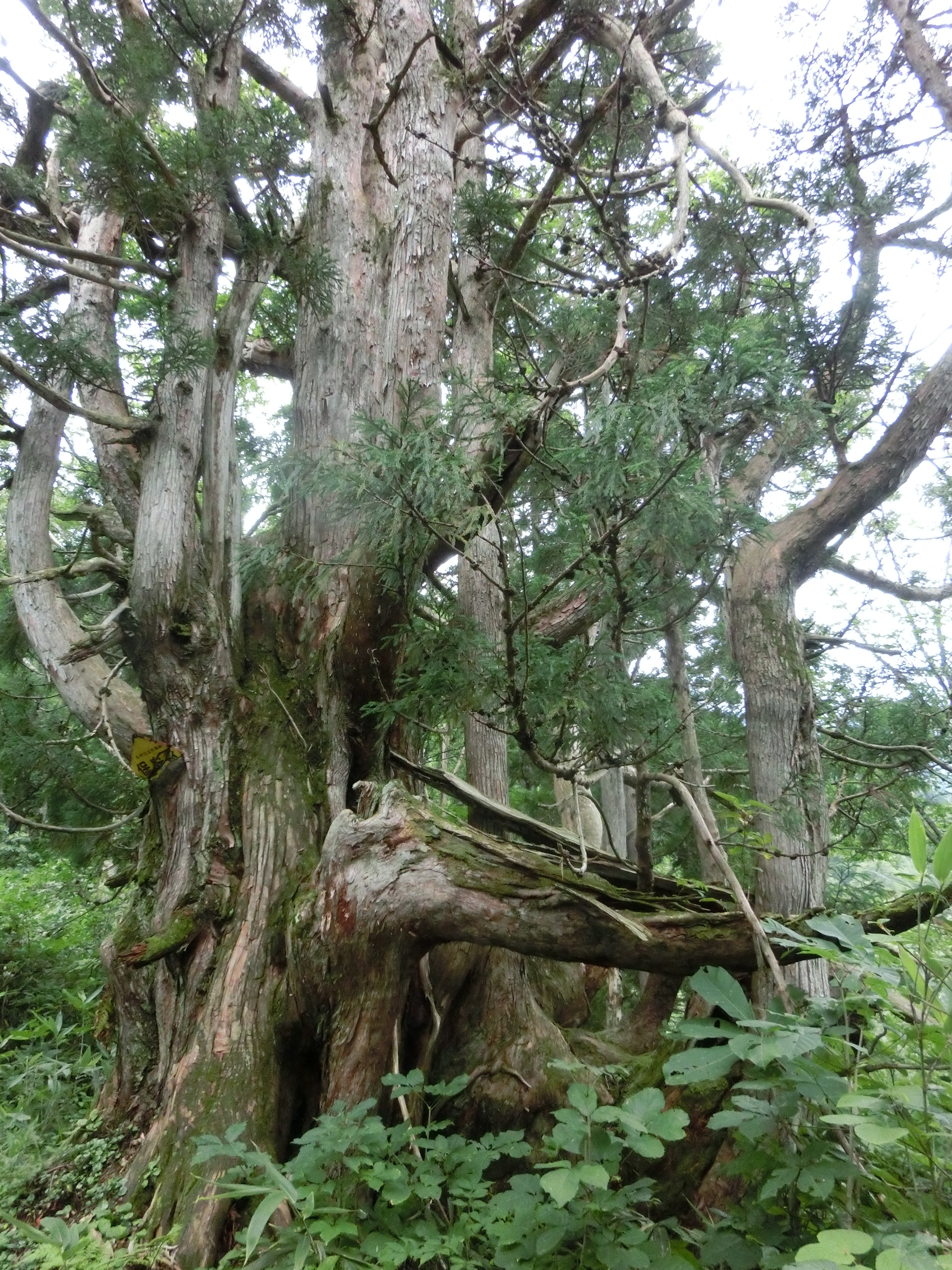 剱岳早月・立山 011.JPG