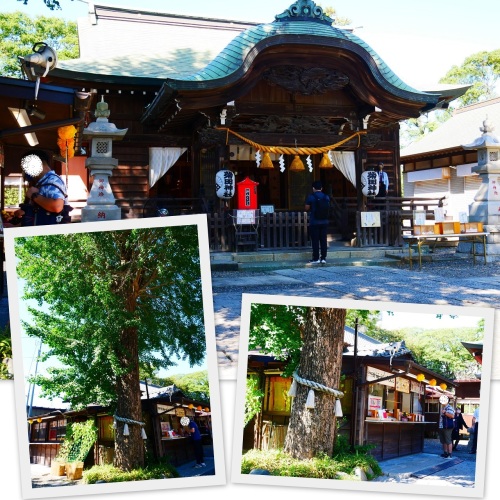 2020-09-04習志野 菊田神社4.jpg