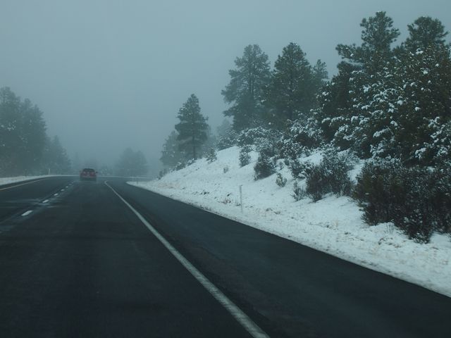 P3032705.JPG