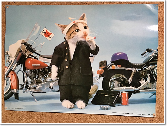 舐め猫_1131.JPG