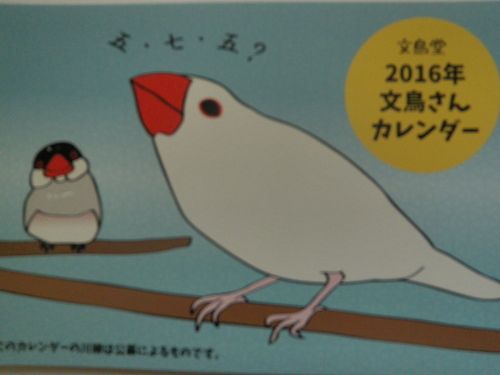 文鳥カレンダー.JPG