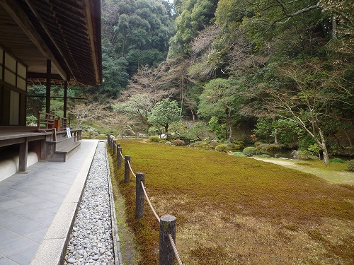 P1020873.jpg