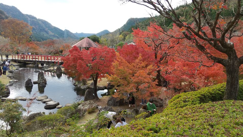 中津ダム渓石園 (1).jpg