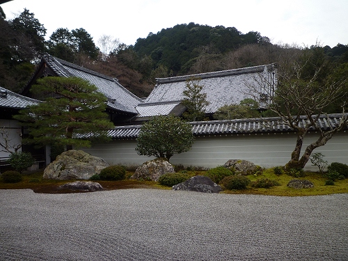 P1020877.jpg