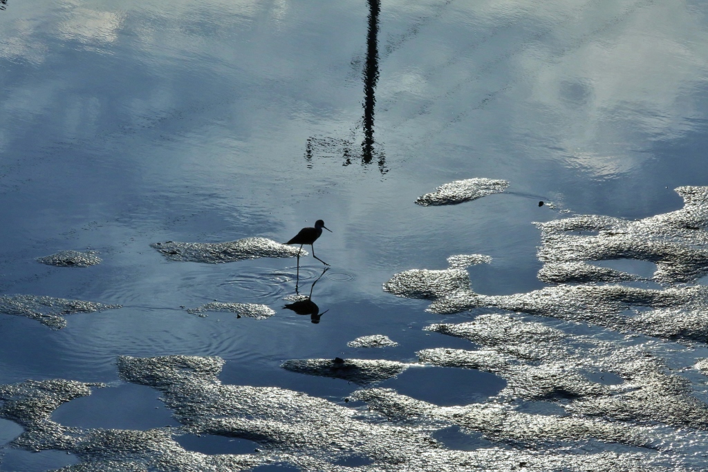 B97A6122 (1024x683).jpg