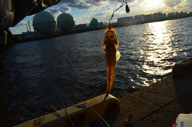 showPhoto (640×426)