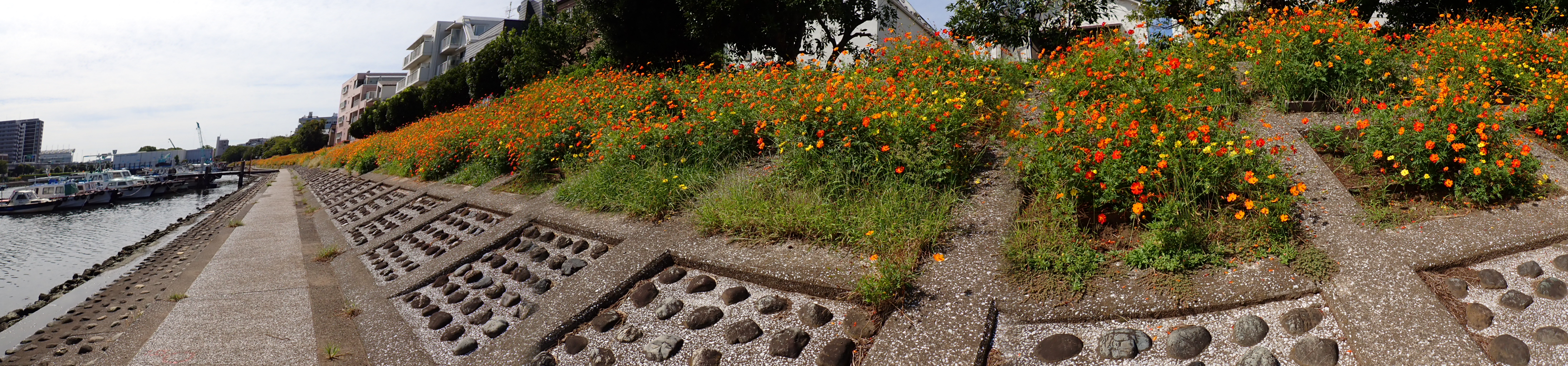 PA021029.JPG