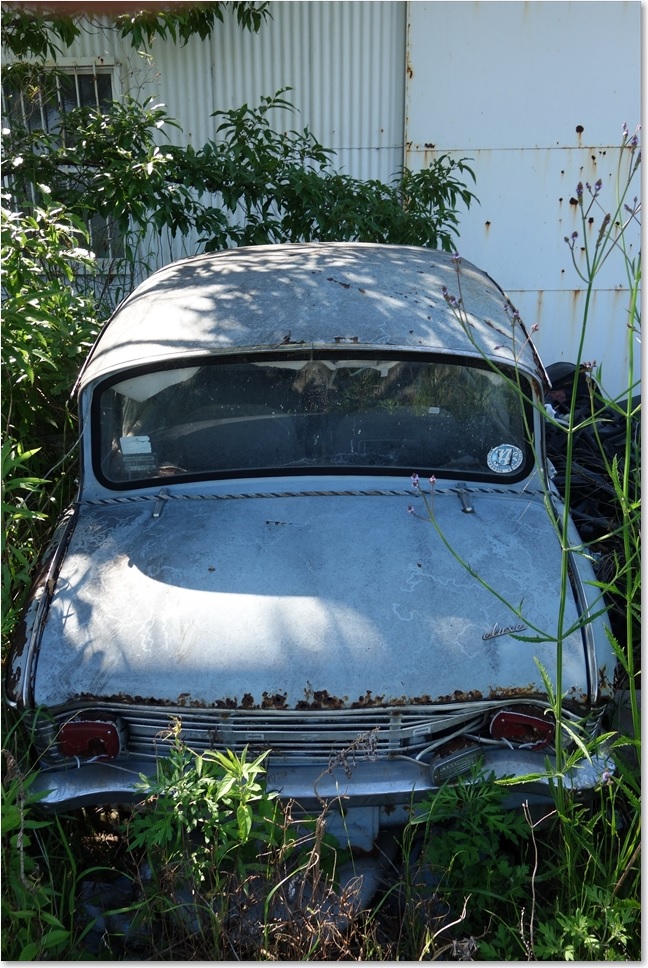 28廃車のキャロル