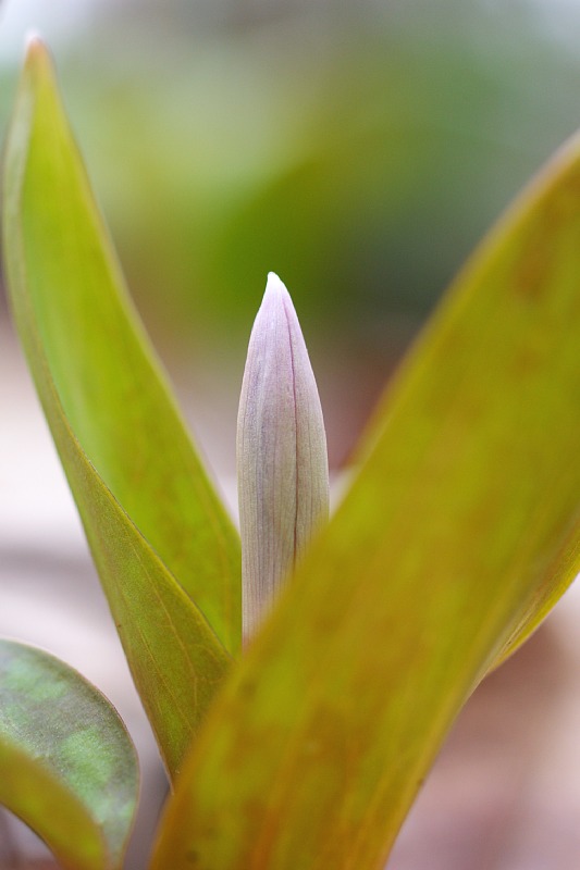 03010-7.jpg