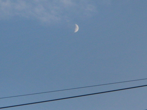 秋の月.JPG