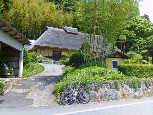 250529shikarawasoba02.jpg