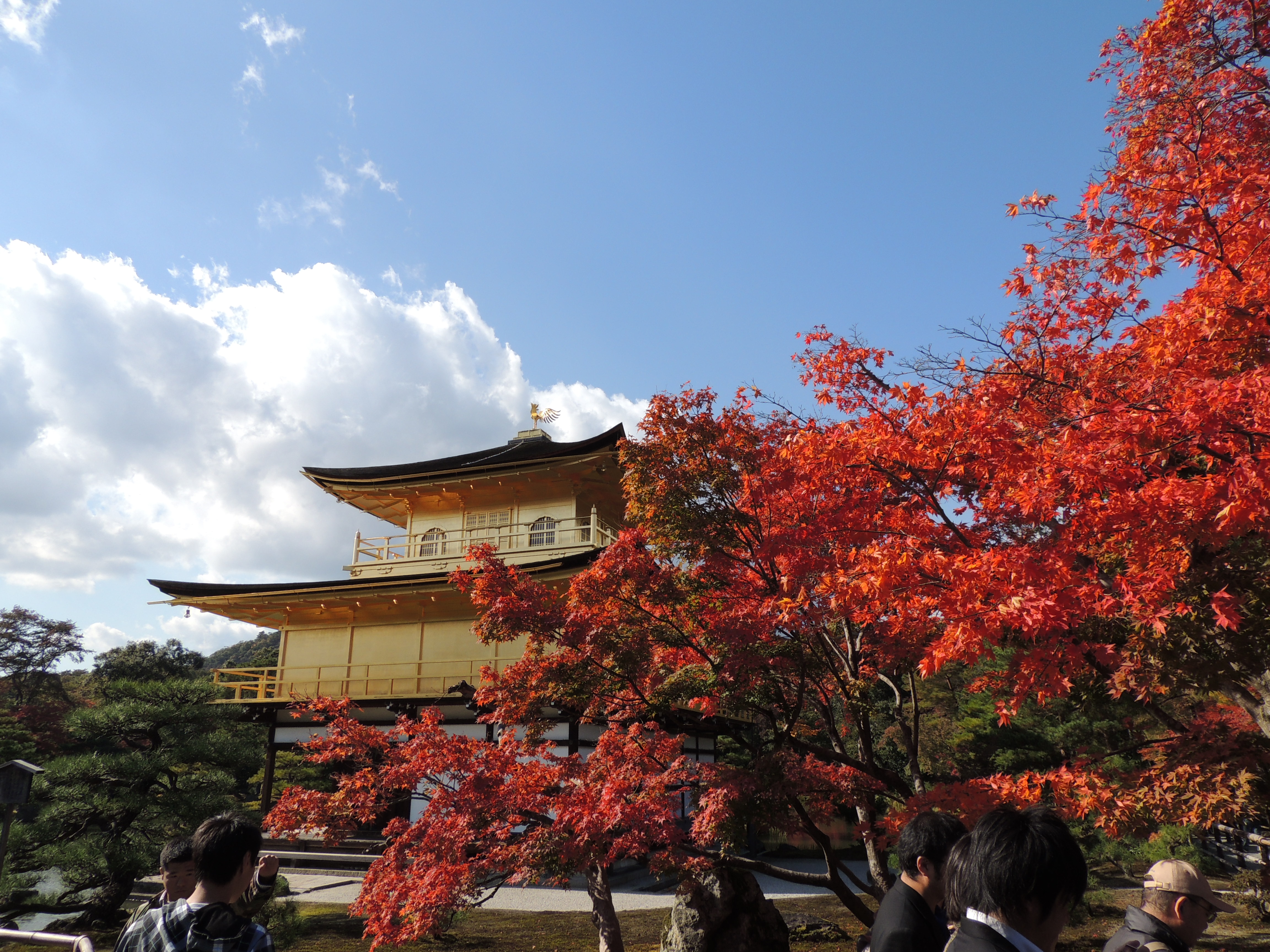 金閣寺.JPG