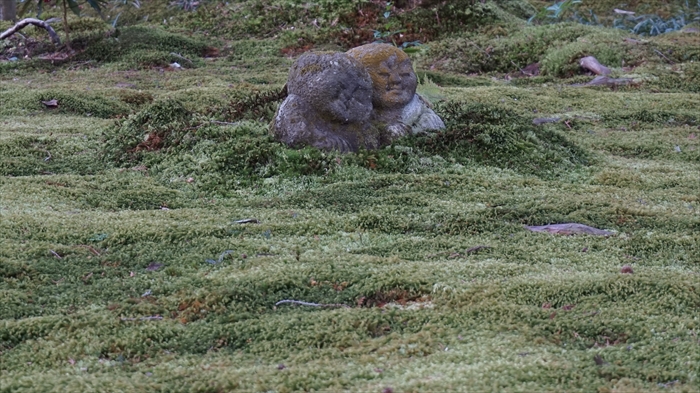 20160323 15471001.JPG