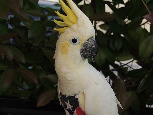 DSCN4265.JPG