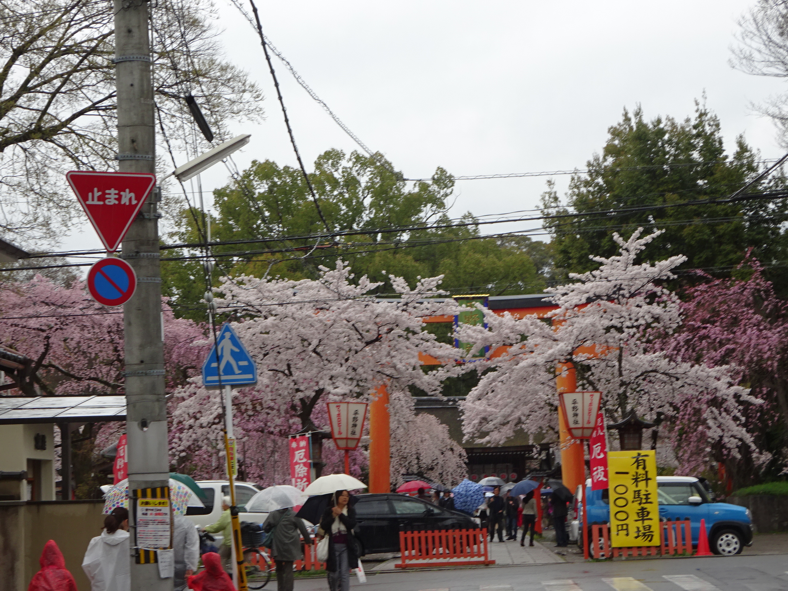 平野神社 (20).JPG