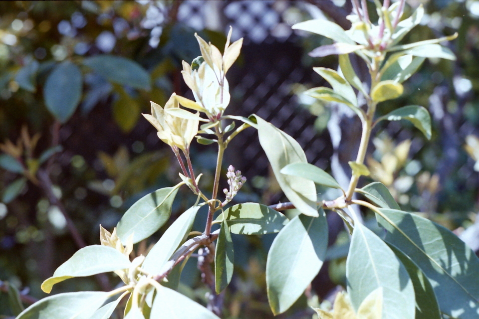 PICT0014 s.JPG