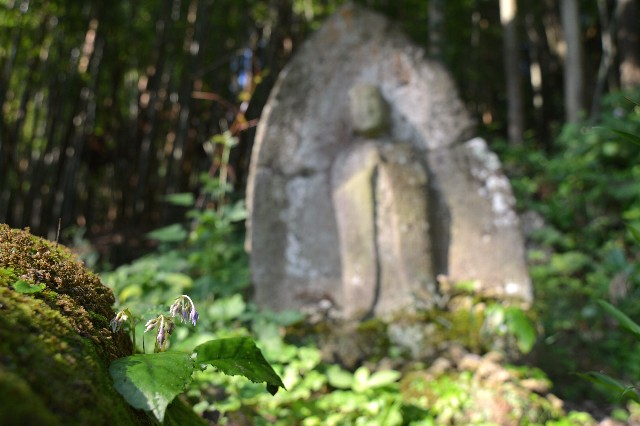 0805-4.jpg