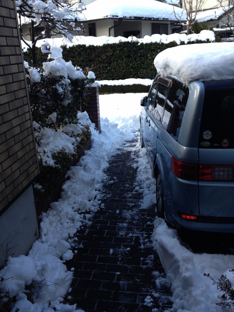 IMG_3852 (480x640).jpg