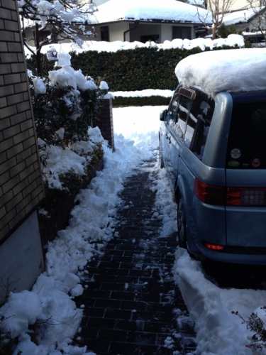 IMG_3852 (480x640).jpg