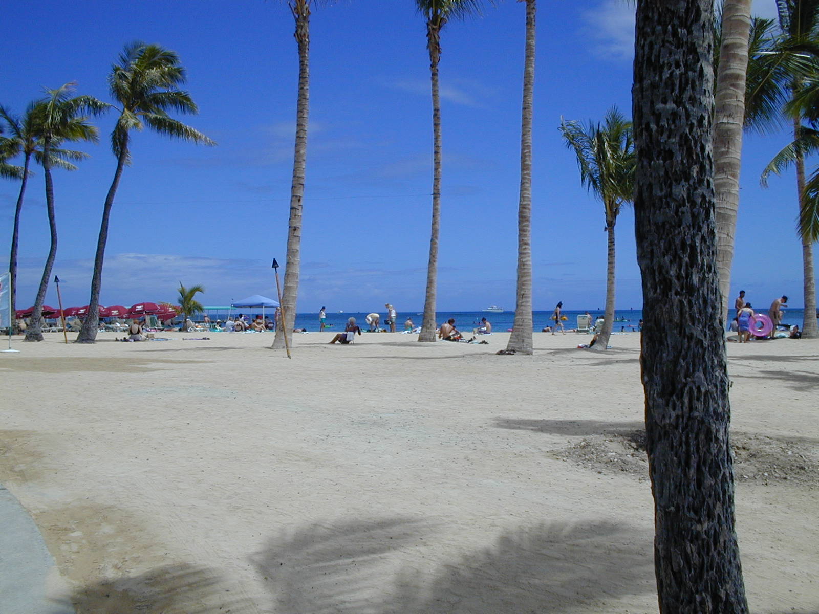 2002HAWAII290.jpg