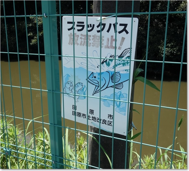 17ブラックバス放流禁止！