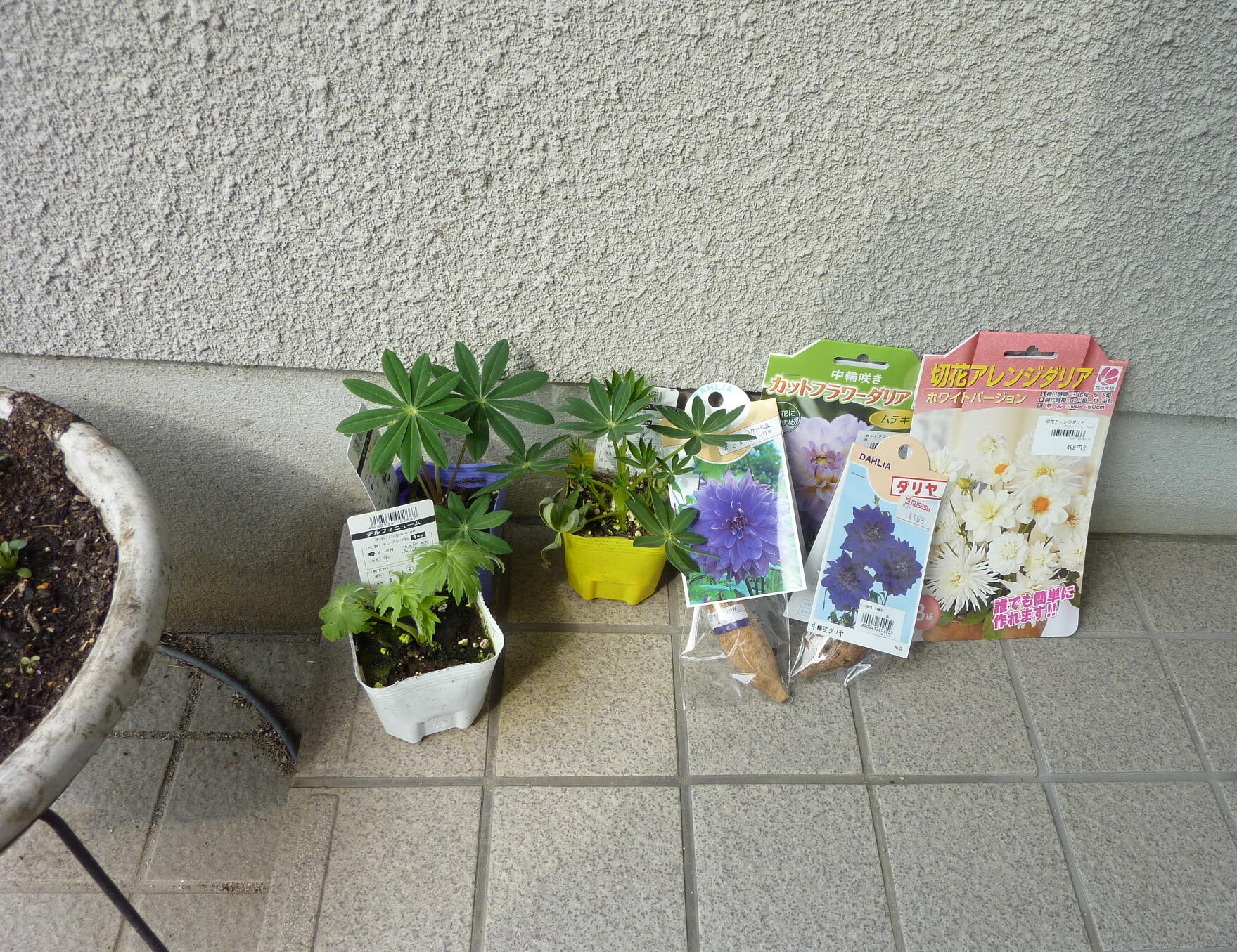 130303-daria-0.jpg