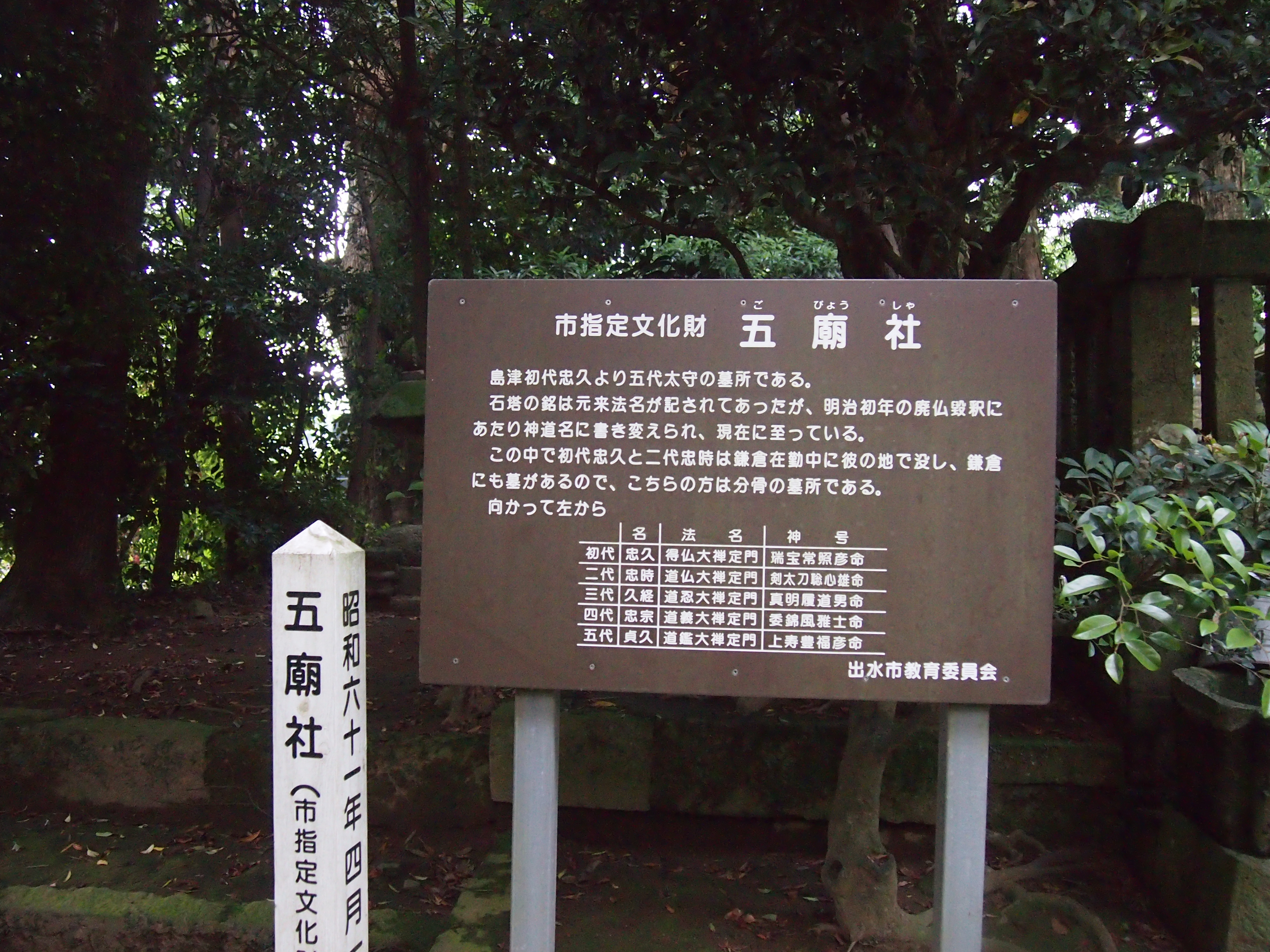 176.JPG