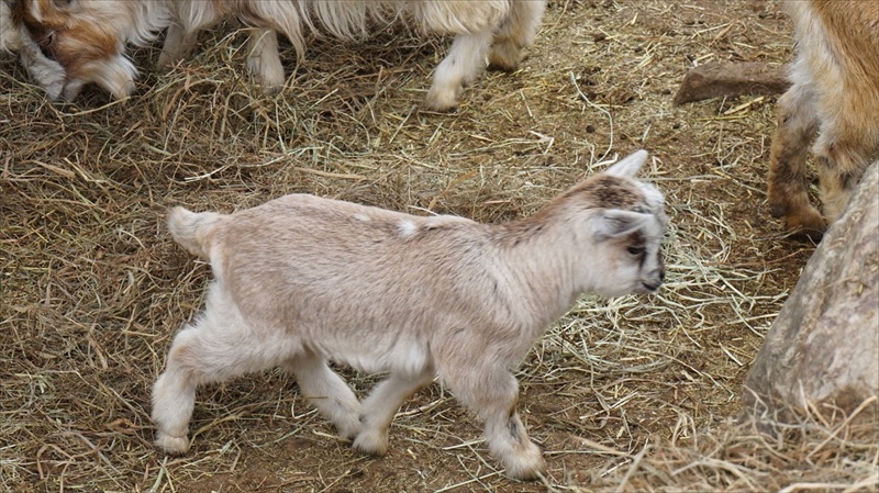 20150420 11552702.JPG