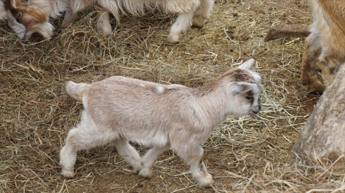 20150420 11552702.JPG