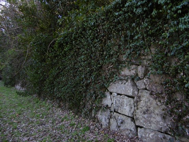 P1000955_R.JPG