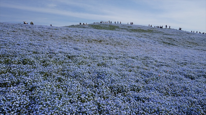 20150430 08115801.JPG