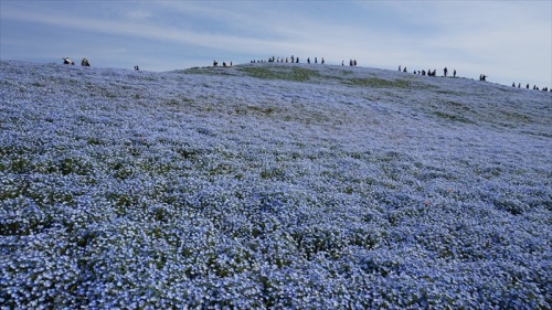 20150430 08115801.JPG