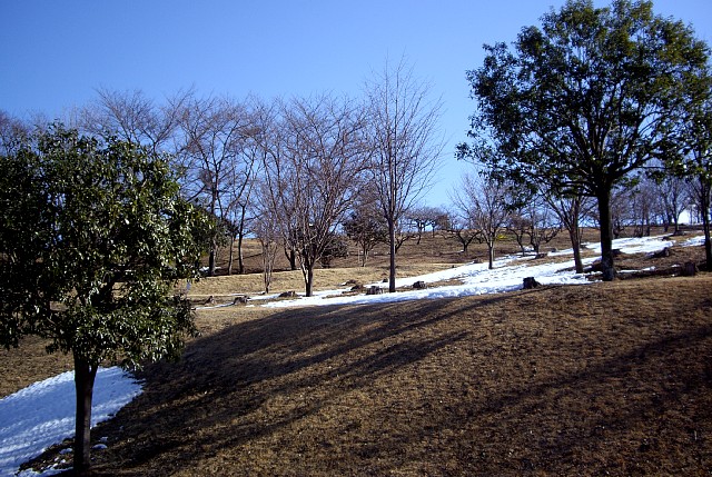0223-1.jpg