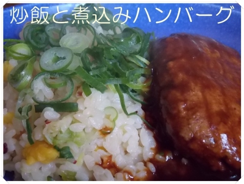 炒飯と煮込みハンバーグ.JPG