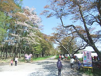 120513_5.JPG