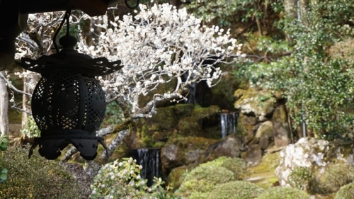 20160323 14381001.JPG