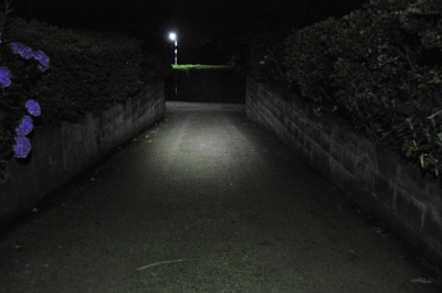 写真00005.jpg