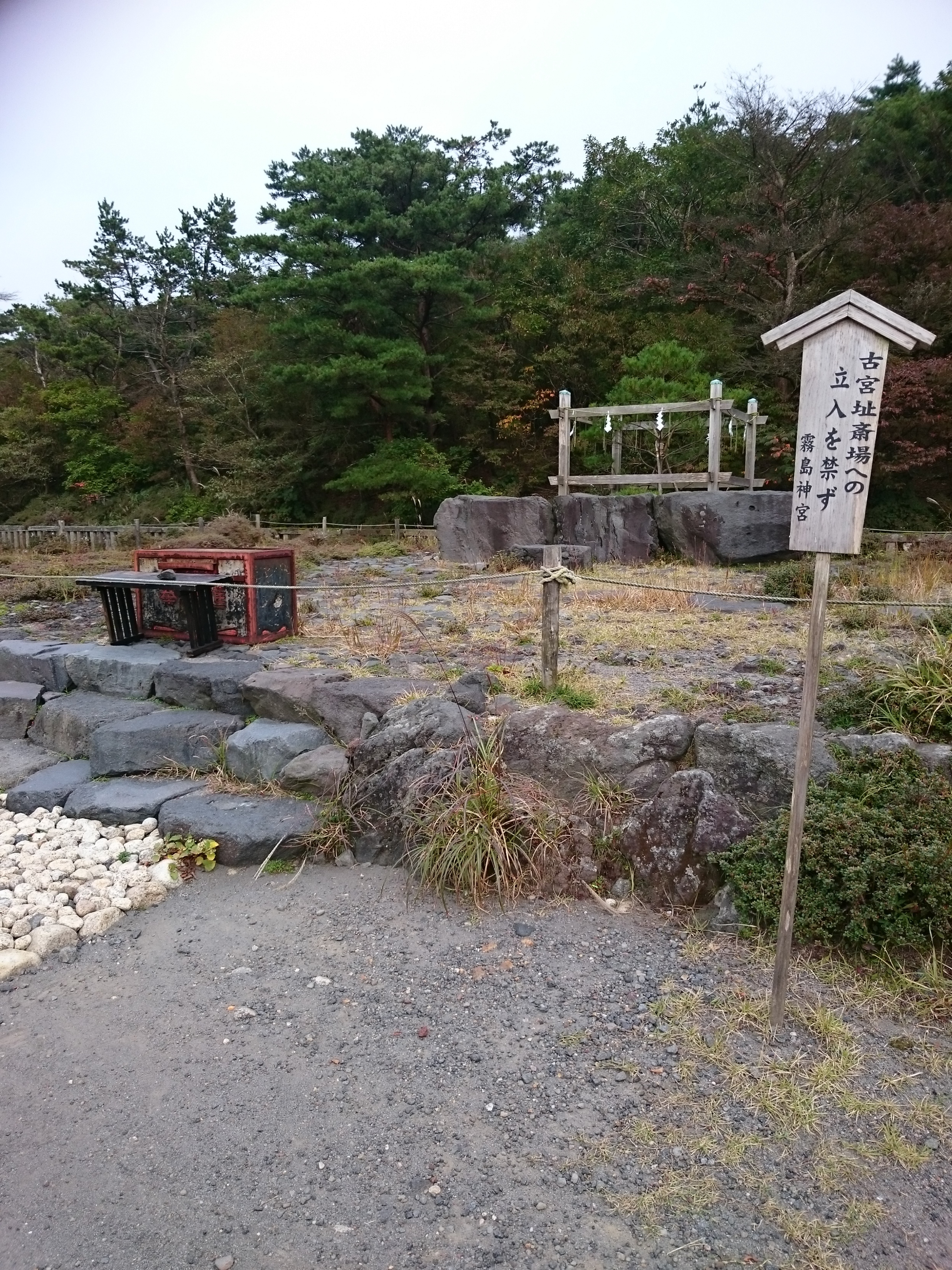 DSC_1002.JPG