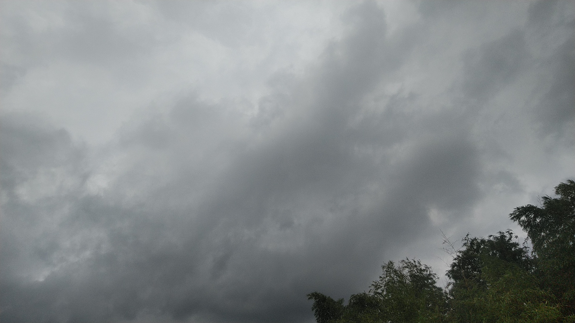 20191003  DSC_0002.jpg.jpg