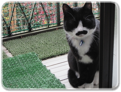 mustache_8687.jpg
