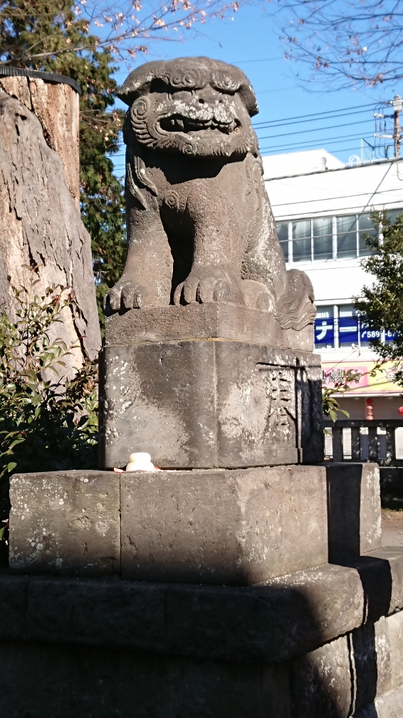 DSC_1100.JPG